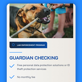 LAPFCU website image